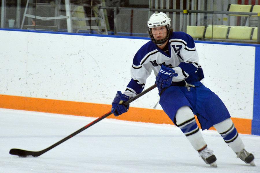 Best of boys hockey 2014
