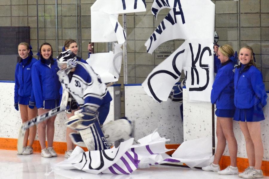 Best of boys hockey 2014