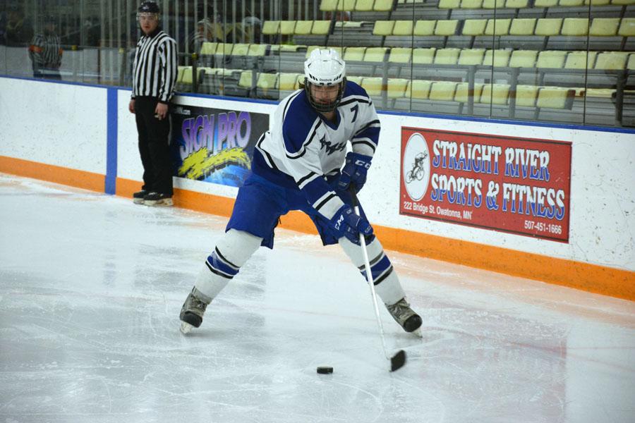 Best of boys hockey 2014