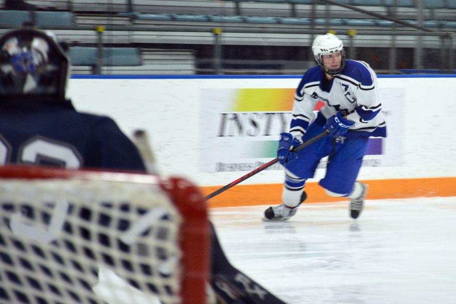 Best of boys hockey 2014
