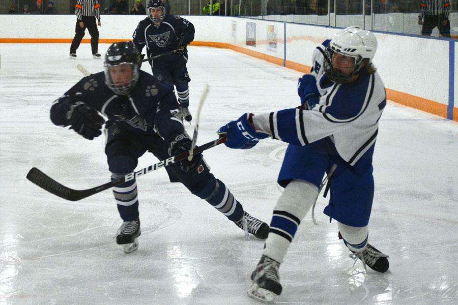 Best of boys hockey 2014