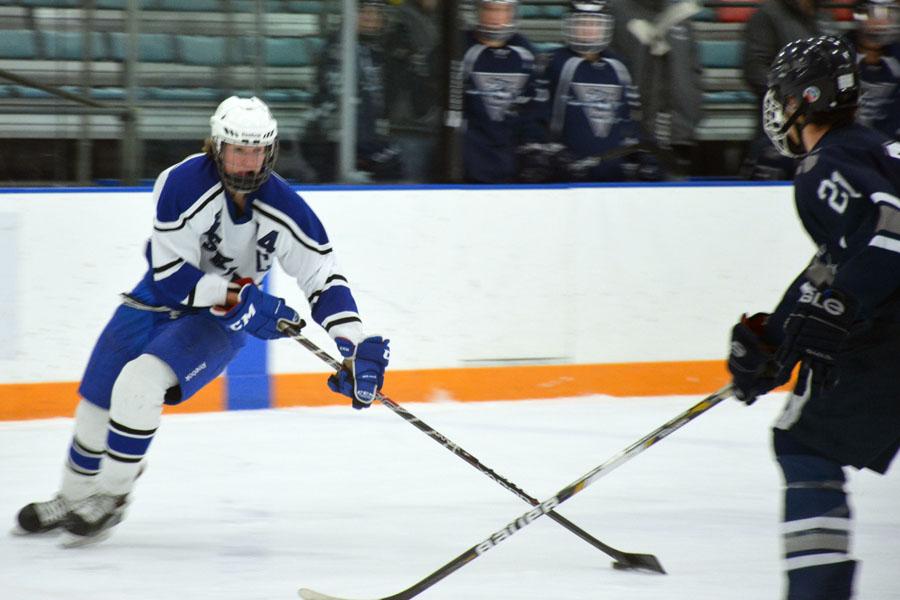 Best of boys hockey 2014