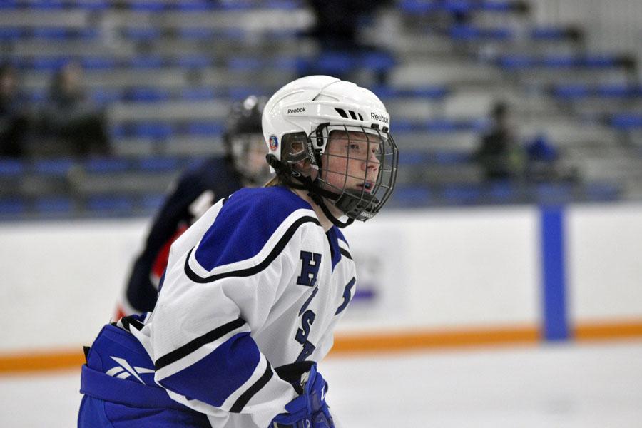 Best of boys hockey 2014