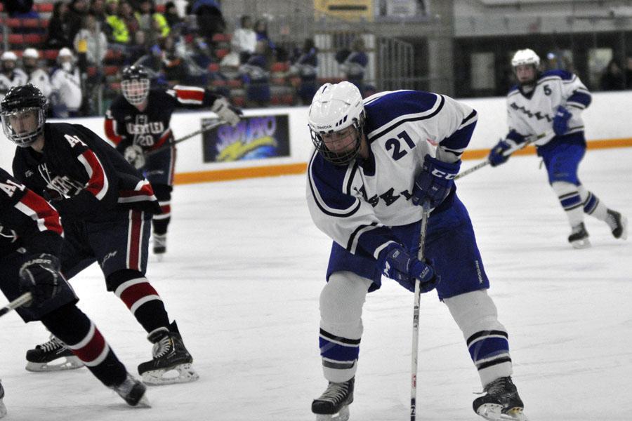 Best of boys hockey 2014