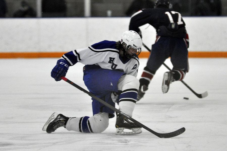 Best of boys hockey 2014