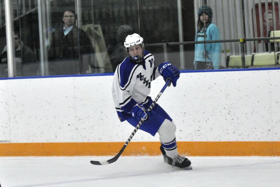 Best of boys hockey 2014