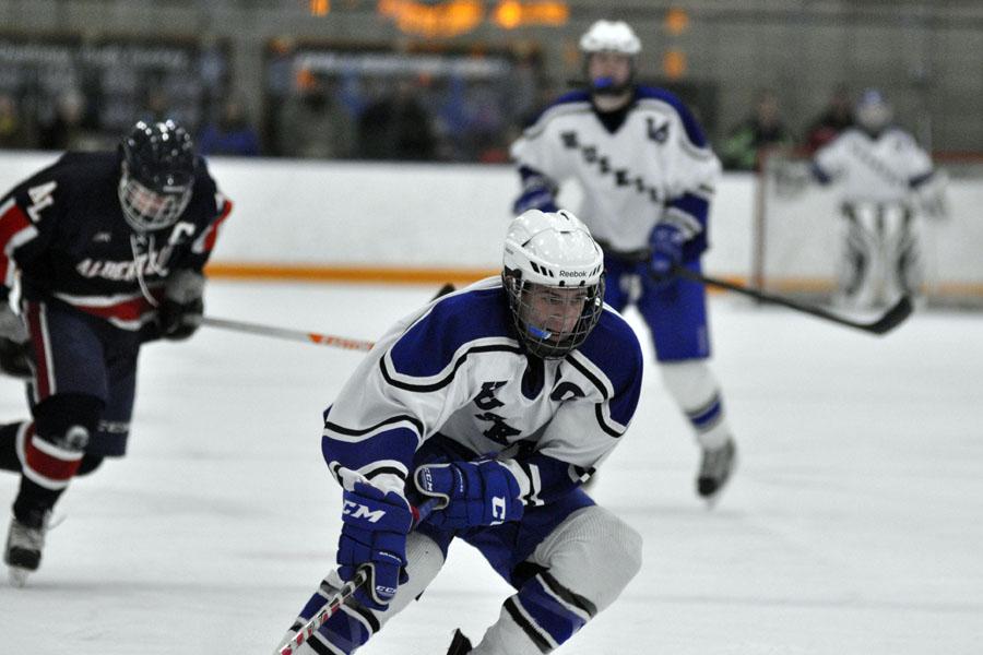 Best of boys hockey 2014