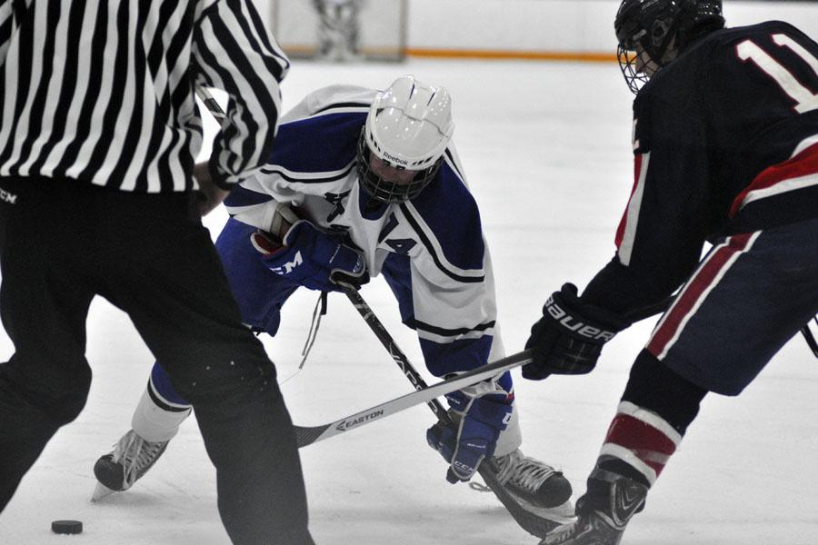 Best of boys hockey 2014