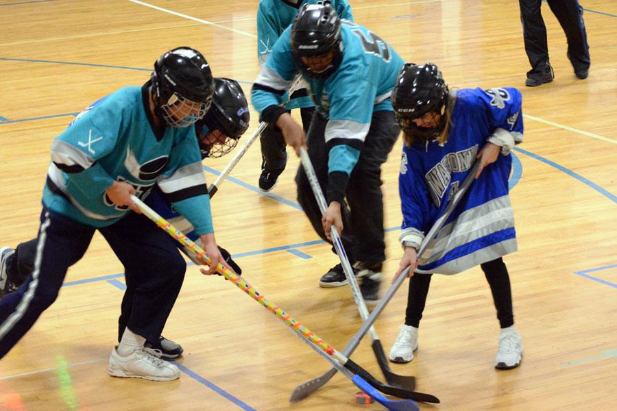 Adaptive Floor Hockey Gallery