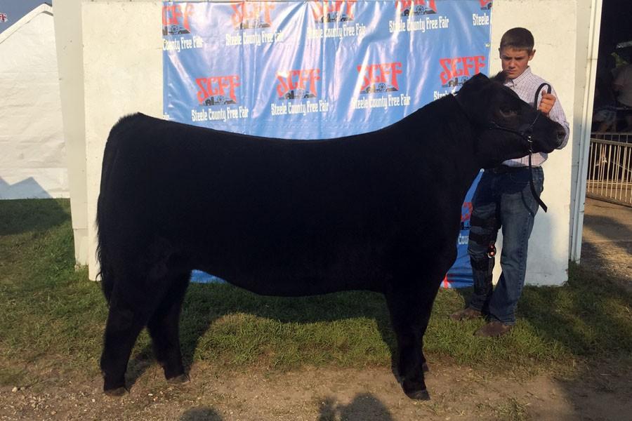 Joe Stransky posing with his steer at the Steele County Free Fair