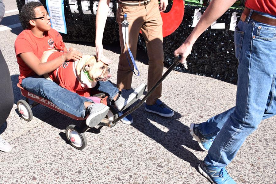 Photo Gallery: Homecoming Parade