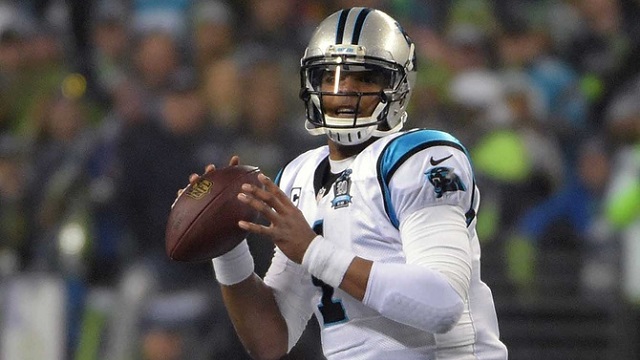 Magnetic NFL Football Schedule Carolina Panthers