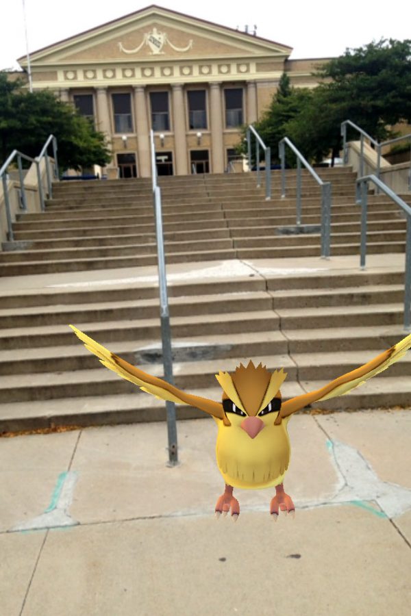 A pidgey just hanging out on the stairs