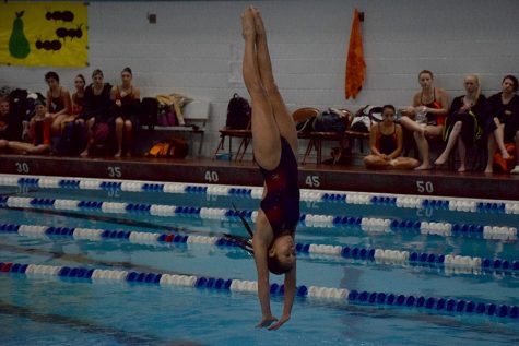 Sophomore Ali An currently in 4th and will dive at section final on Saturday