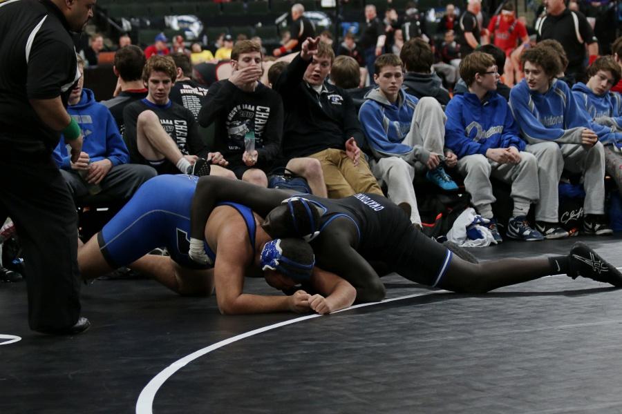 Photo Gallery: State wrestling