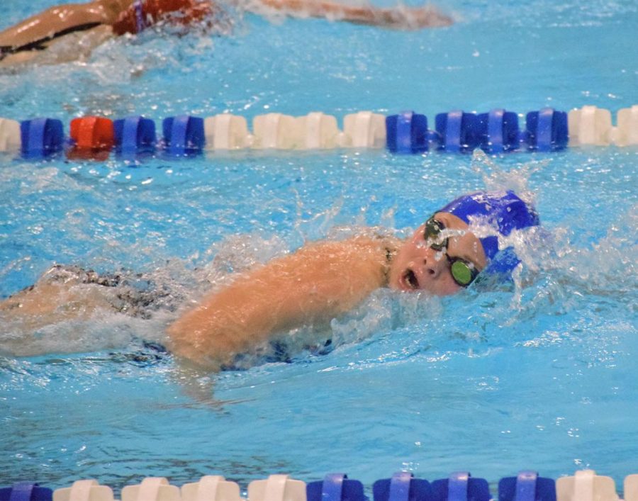 Senior Erica Svenby swims freestyle