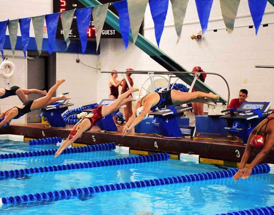 Swimmers starting off the blocks