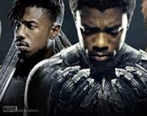 Black Panther: Fight for the throne