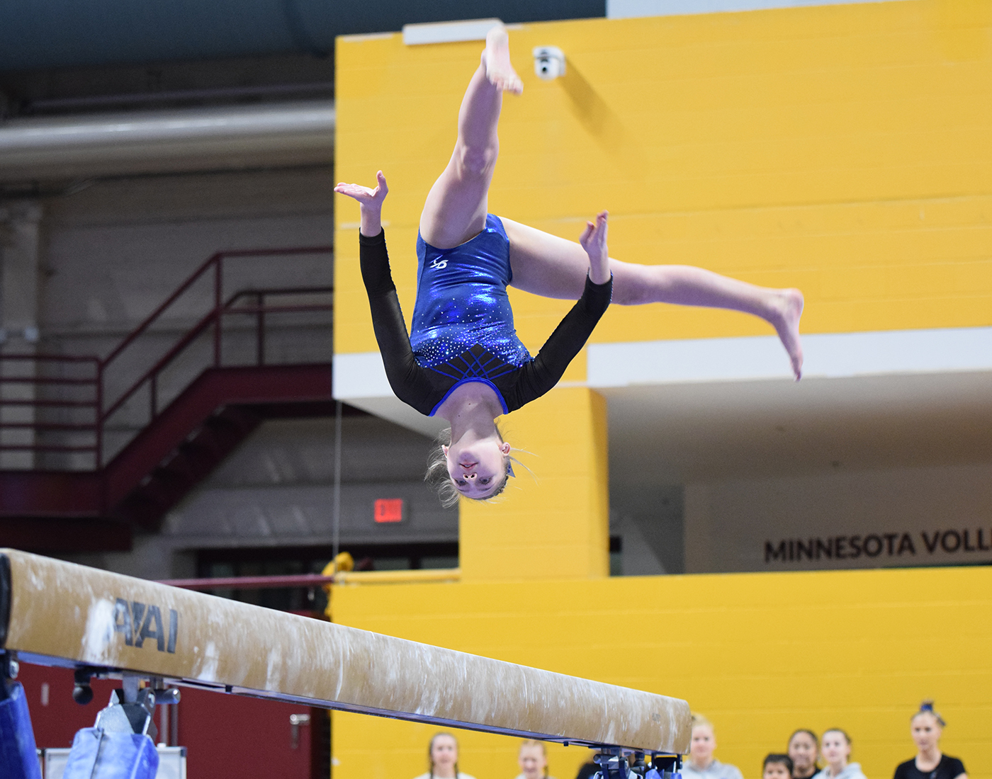 Gymnastics takes home the bronze