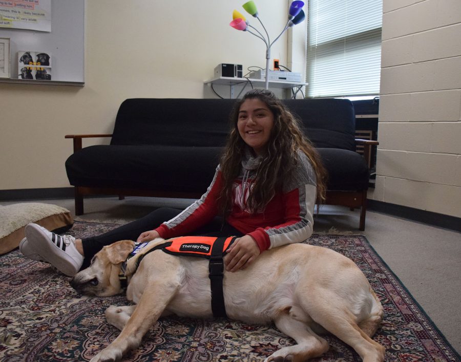  Freshman Nena Zamarron said, “It helps me relieve and calm down if I am having a bad day. Petting and looking at the dog helps me relax.” 