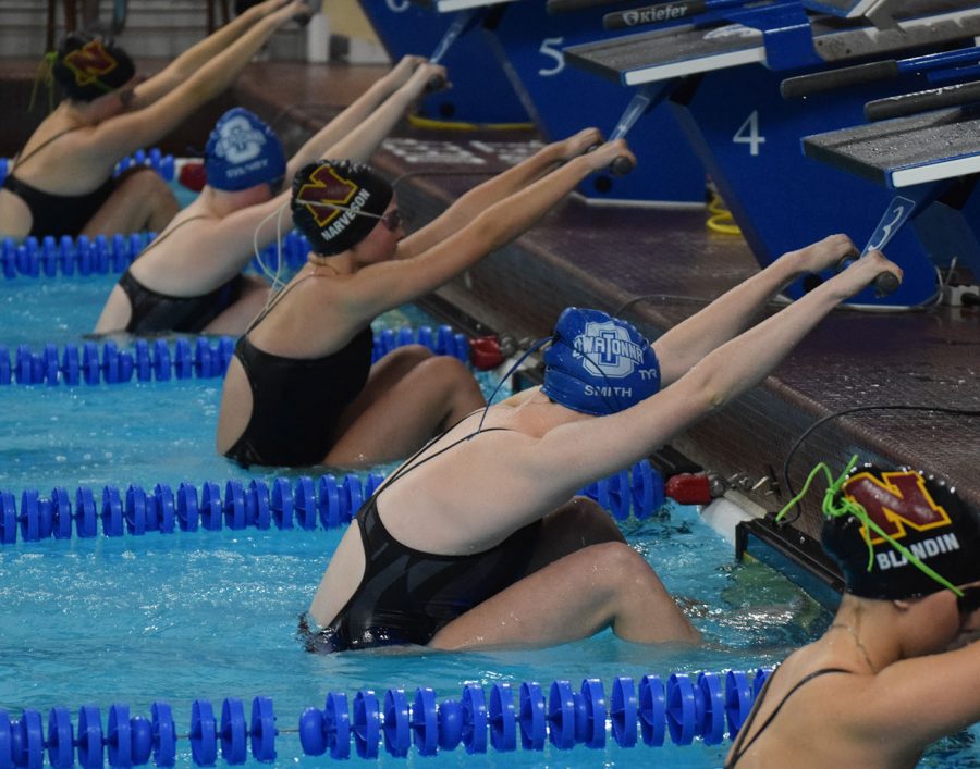Husky swimmers taking their marks before the 100 backstroke