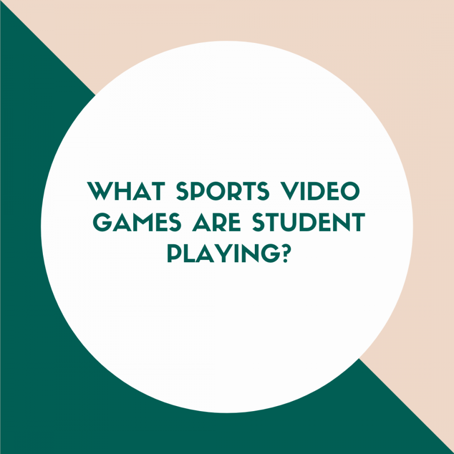 What+sports+video+games+are+students+playing