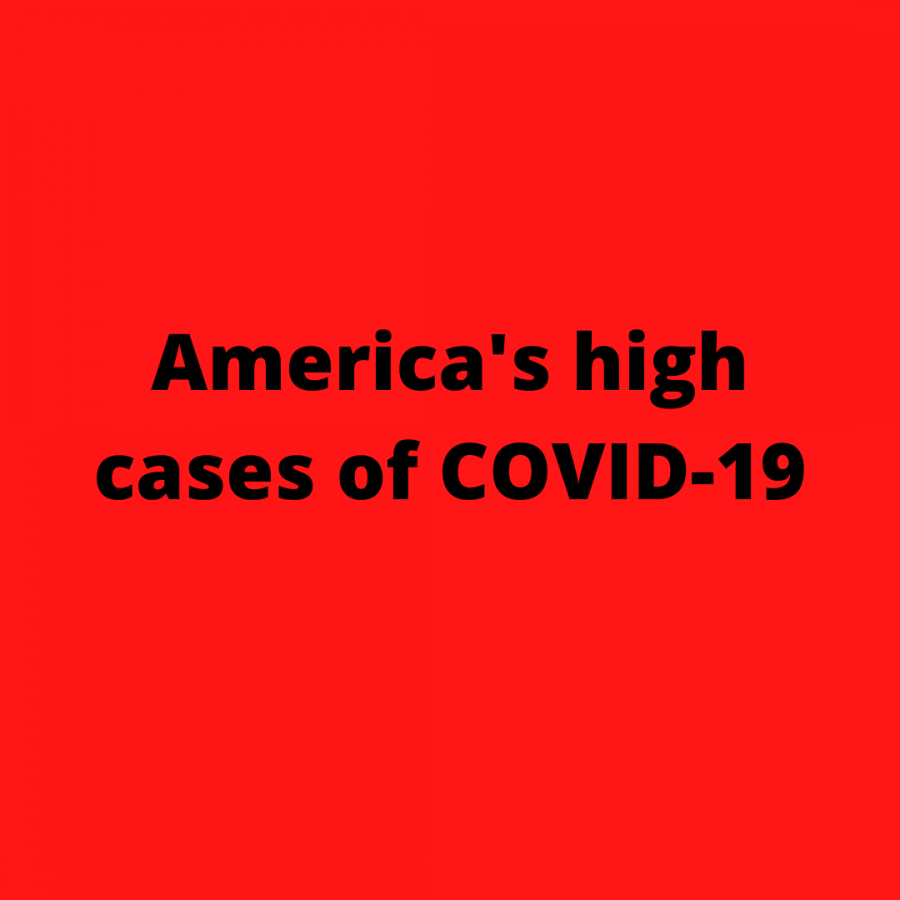 Some reasons why America has high cases of COVID-19