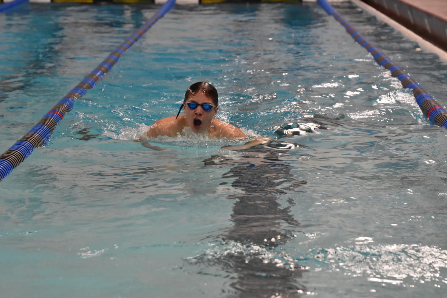 A dive into the OHS Boys Swim & Dive season