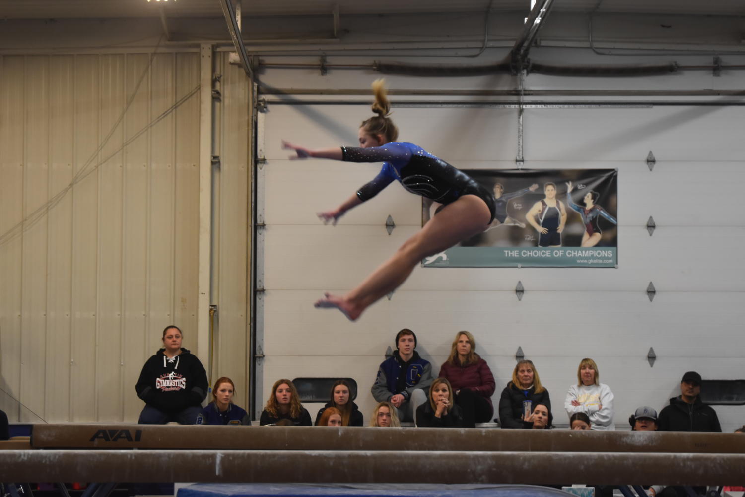 Owatonna gymnastics flipping to victory