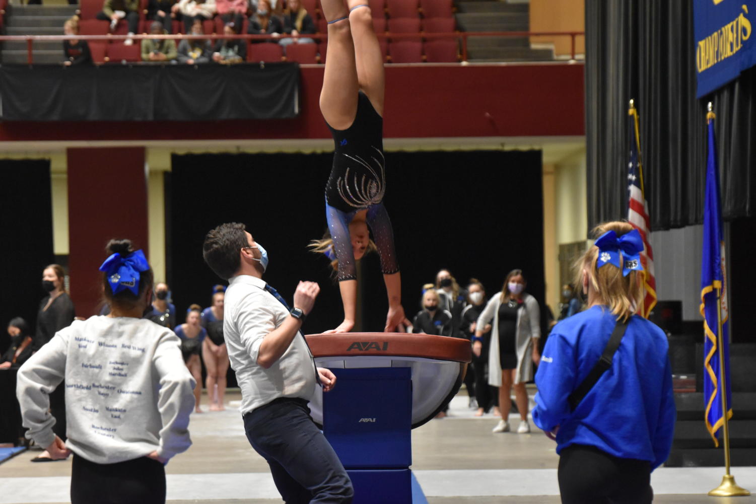 Photo Gallery: Owatonna Gymnastics at the Minnesota State Tournament