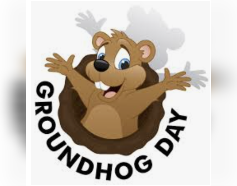 Phil the Groundhog makes his prediction
