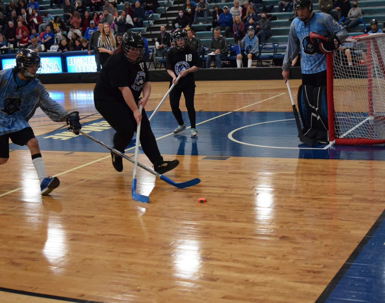 OHS Adapted Floor Hockey Game