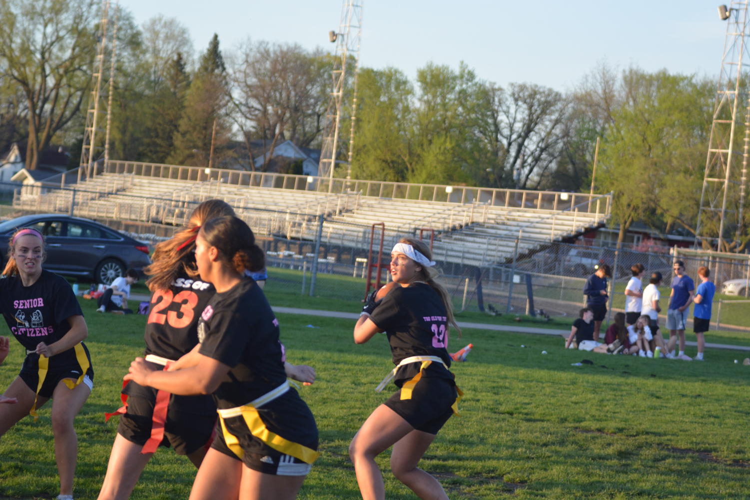 Photo Gallery: Powderpuff