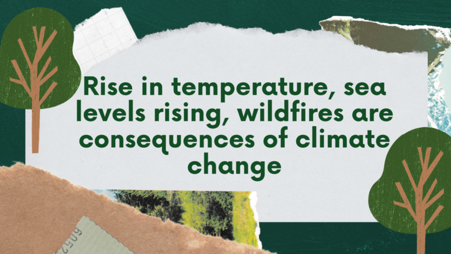Rise in temperature, sea levels rising, wildfires are a just a few consequences of climate change.