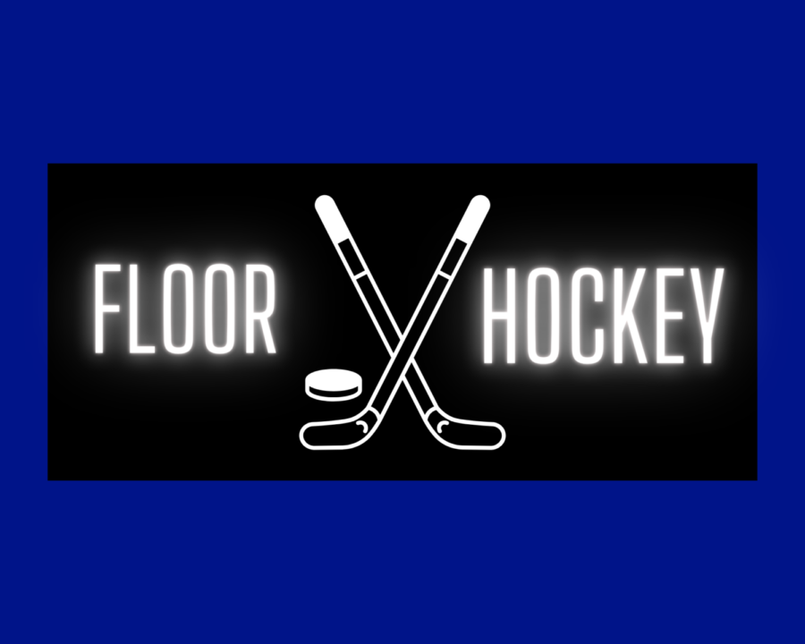Owatonna Adaptive Floor Hockey is in the midst of an energetic season. 