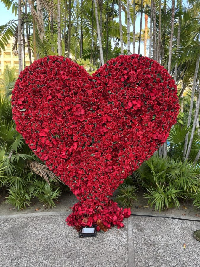 A heart full of red roses in Mexico representing Valentines Day