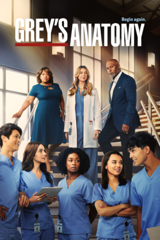 ABCs Greys Anatomy official promotional picture. After 19 seasons on the show, star Ellen Pompeo steps down from her role. 