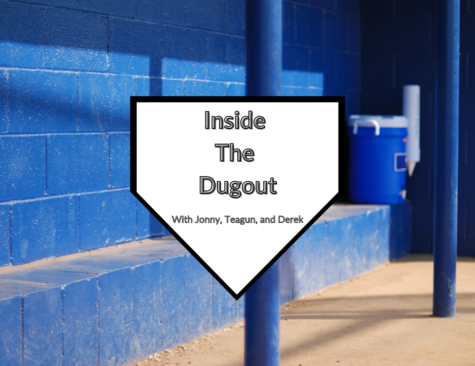 Inside the Dugout