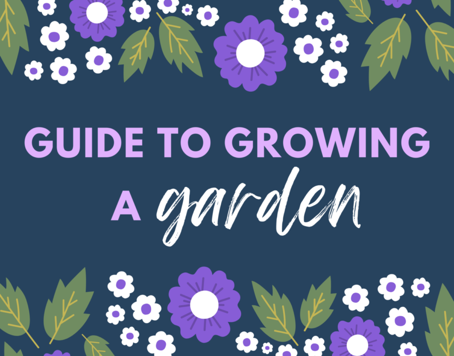 Gardening is one of the most common spring hobbies in the US. 