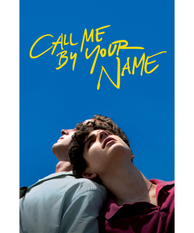 Chalamet featured on a promotional poster alongside Call Me By Your Name co-star Armie Hammer. 
