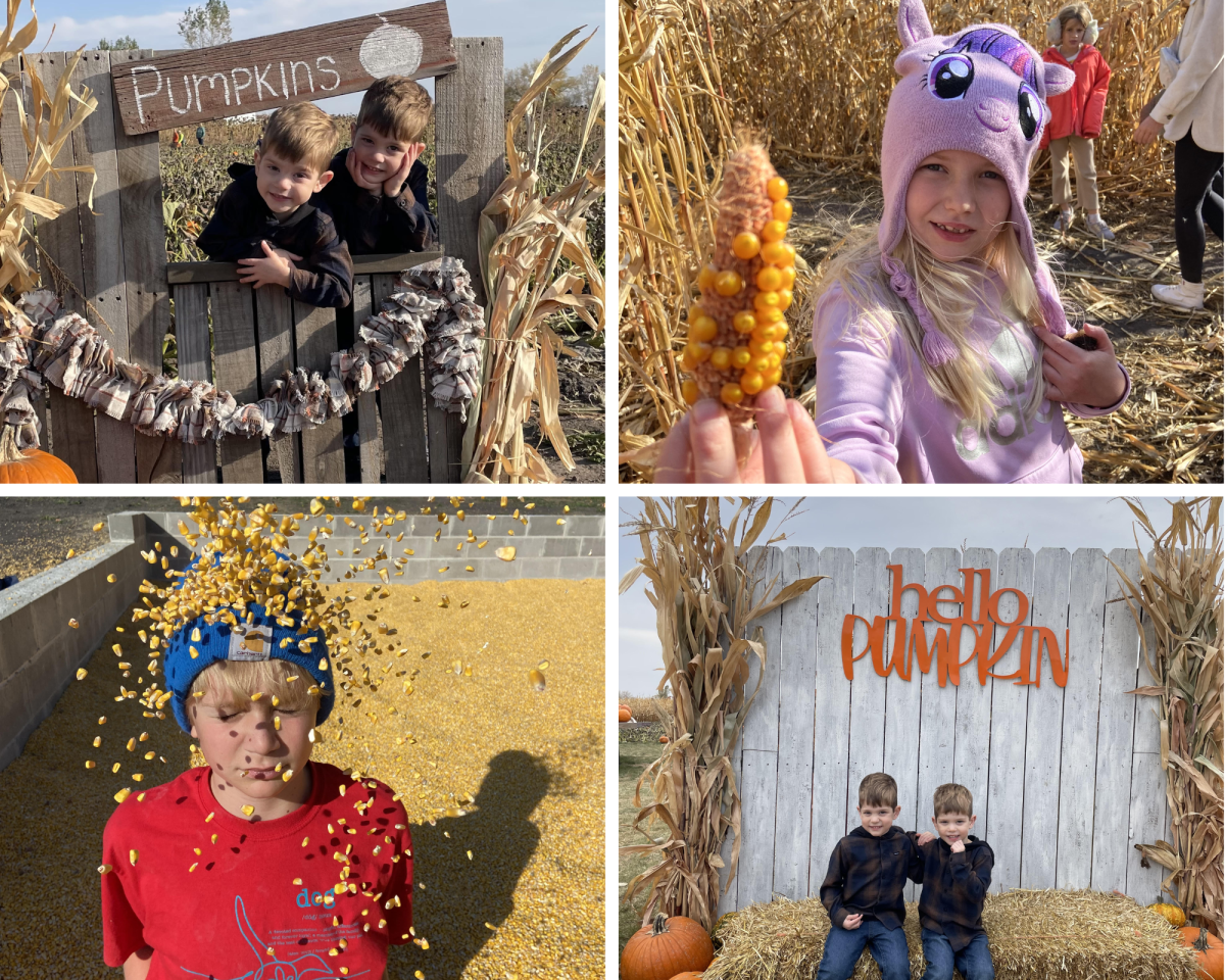 Owatonna friends and family enjoy spending time at local pumpkin patches.
Photos submitted by Dan Leer and Jeremy Wood. Designed by Safa Fakrudin
