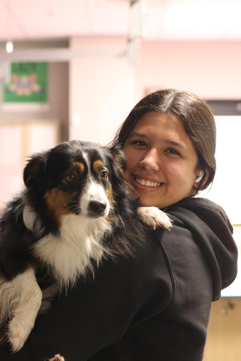 Junior Jazelle Aurora finds a dog that got lost. The dog was here for dog training. 