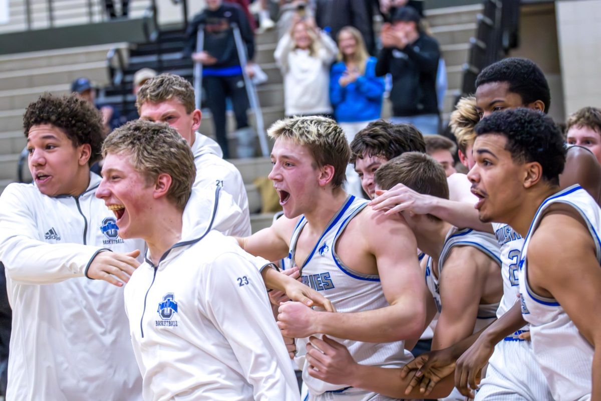 Owatonna Boys basketball celebrates after a buzzer beater to beat Lakeville South in section quarterfinals.